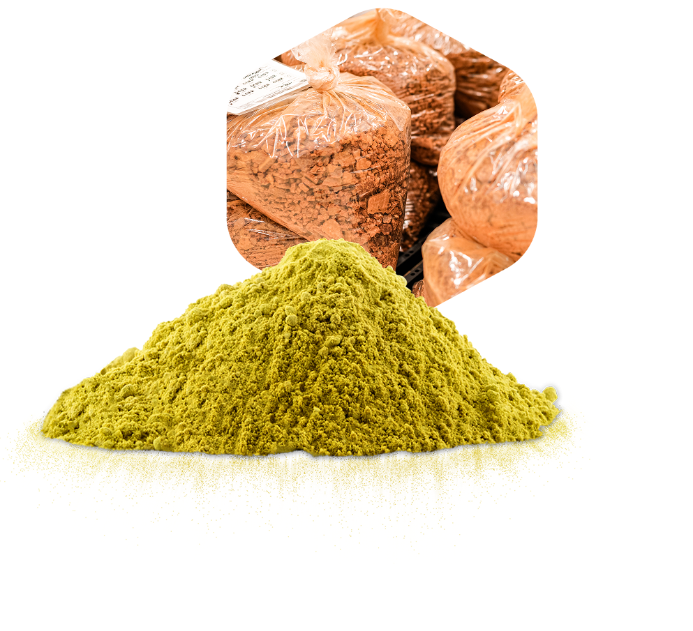 Professional presenting green propolis powder